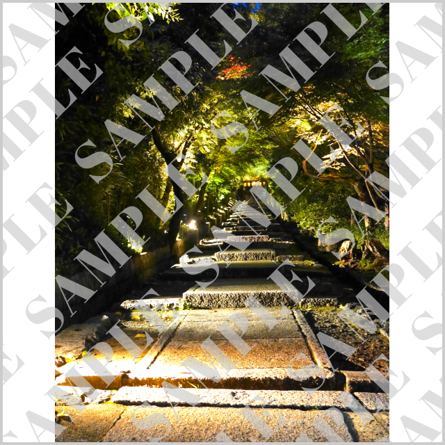 臺所門の臺所坂