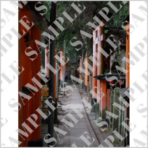 伏見稲荷大社の参道