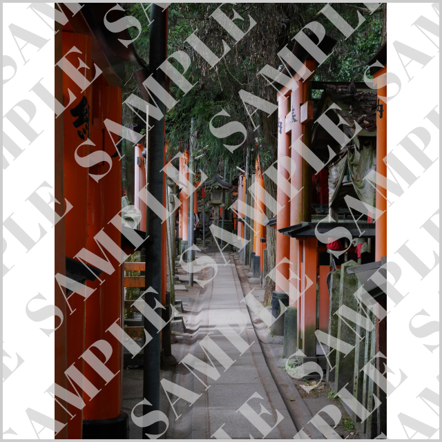 伏見稲荷大社の参道