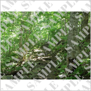 札幌・円山公園登山道（横）