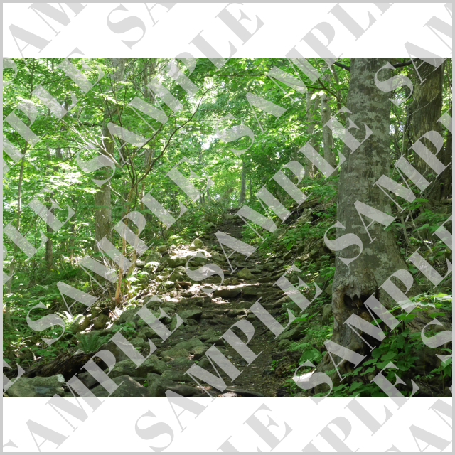 札幌・円山公園登山道（横）