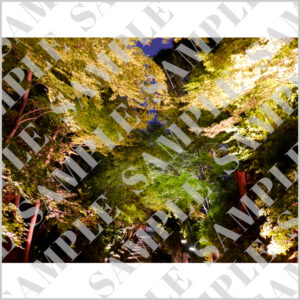 臺所門の臺所坂・下り